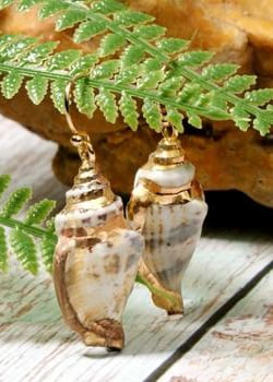 Boho Earrings - Natural Shell Gold